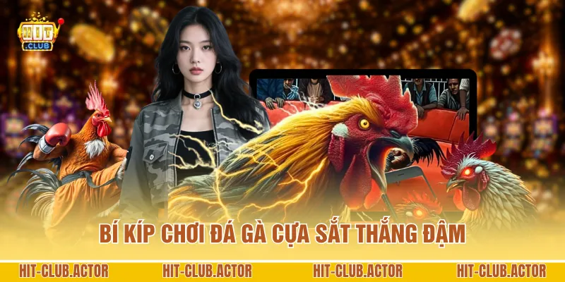 Bí kíp chơi đá gà cựa sắt thắng đậm