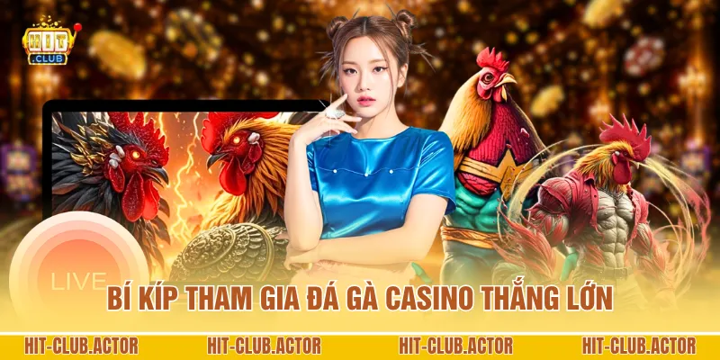 Bí kíp tham gia đá gà Casino thắng lớn