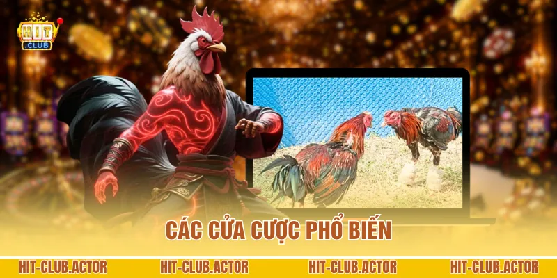 Các cửa cược phổ biến