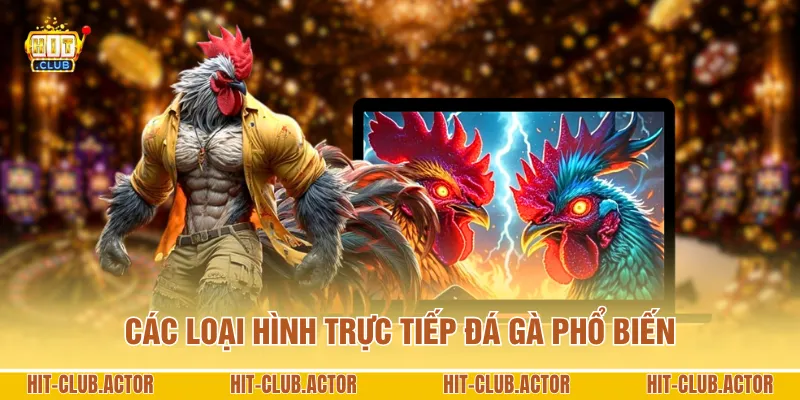 Các loại hình trực tiếp đá gà phổ biến