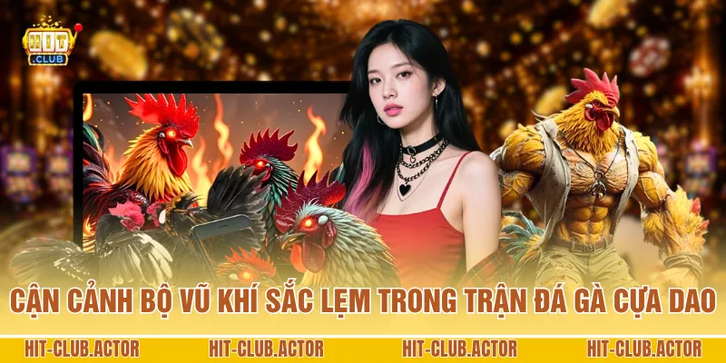 Cận cảnh bộ vũ khí sắc lẹm trong trận đá gà cựa dao