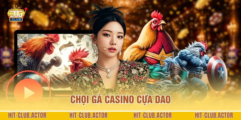 Chọi gà Casino cựa dao