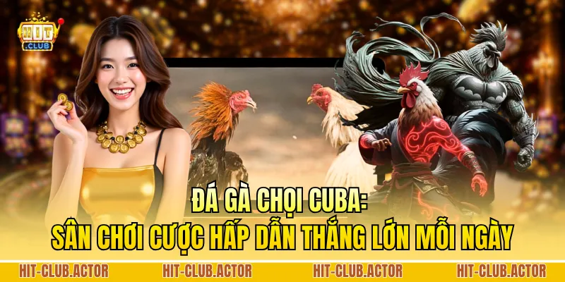 Đá Gà Chọi Cuba: Sân Chơi Cược Hấp Dẫn Thắng Lớn Mỗi Ngày