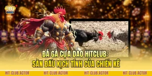 Đá Gà Cựa Dao HITCLUB: Sàn Đấu Kịch Tính Của Chiến Kê