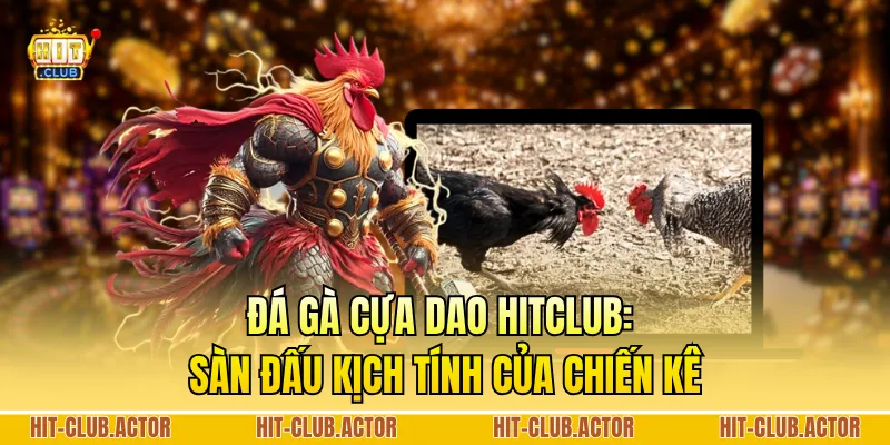 Đá Gà Cựa Dao HITCLUB: Sàn Đấu Kịch Tính Của Chiến Kê
