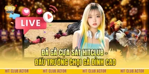 Đá Gà Cựa Sắt HITCLUB - Đấu Trường Chọi Gà Đỉnh Cao