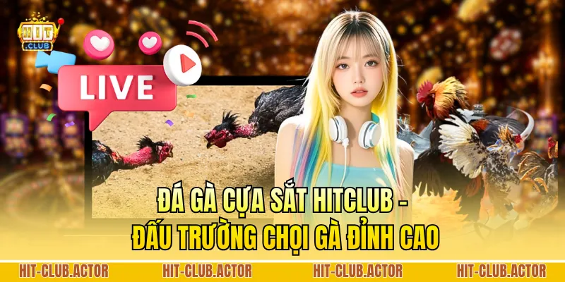 Đá Gà Cựa Sắt HITCLUB - Đấu Trường Chọi Gà Đỉnh Cao