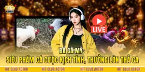 Đá Gà Mỹ: Siêu Phẩm Cá Cược Kịch Tính, Thưởng Lớn Thả Ga