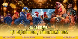 Đá Gà Thomo: Đặt Cược Đỉnh Cao, Thắng Lớn Mỗi Ngày