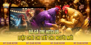 Đá gà Tre HITCLUB - Luật Chơi Chi Tiết Cho Người Mới