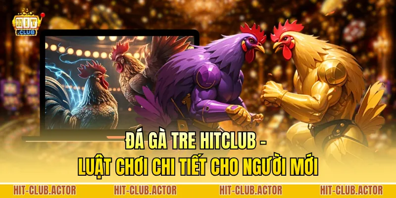 Đá gà Tre HITCLUB - Luật Chơi Chi Tiết Cho Người Mới