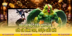 Đá Gà Trực Tiếp HITCLUB: Sới Gà Đỉnh Cao, Cược Siêu Hời