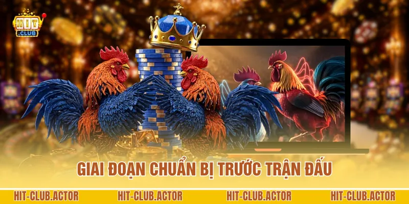 Giai đoạn chuẩn bị trước trận đấu