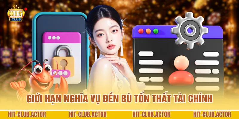 Giới hạn nghĩa vụ đền bù tổn thất tài chính