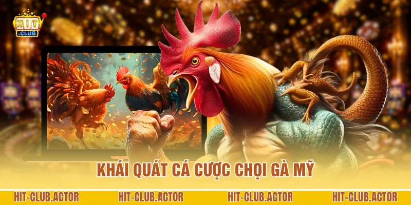 Khái quát cá cược chọi gà Mỹ