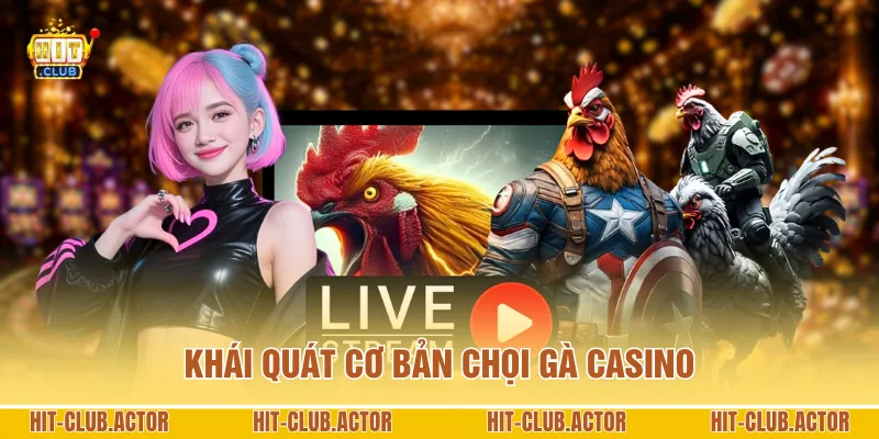 Khái quát cơ bản chọi gà Casino