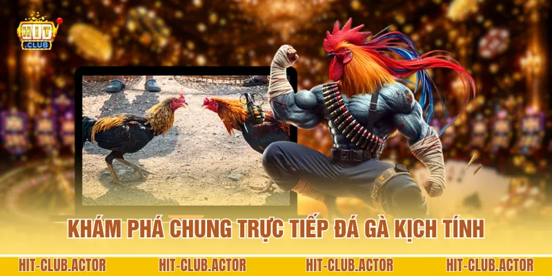 Khám phá chung trực tiếp đá gà kịch tính