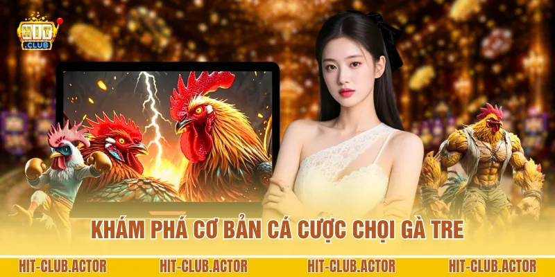 Khám phá cơ bản cá cược chọi gà Tre