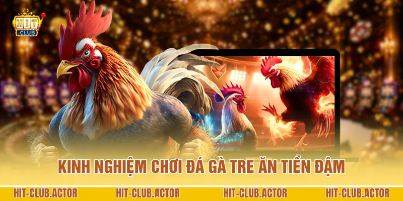 Kinh nghiệm chơi đá gà Tre ăn tiền đậm