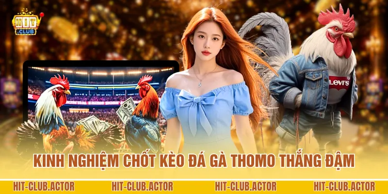 Kinh nghiệm chốt kèo đá gà Thomo thắng đậm