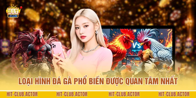 Loại hình đá gà phổ biến được quan tâm nhất