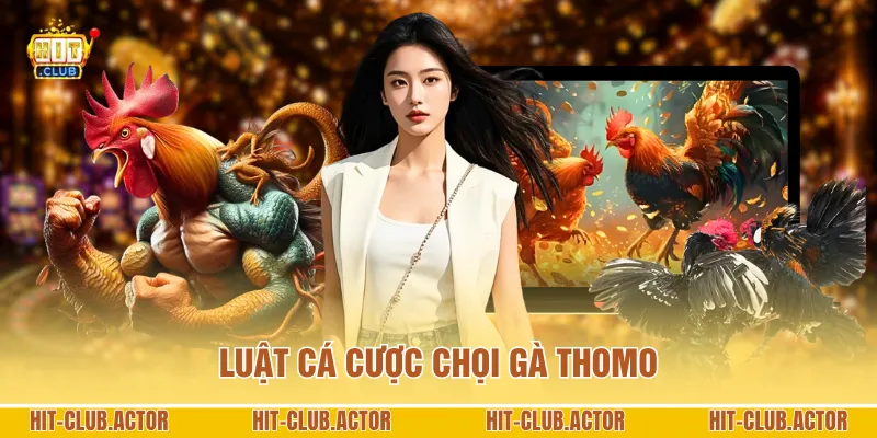 Luật cá cược chọi gà Thomo