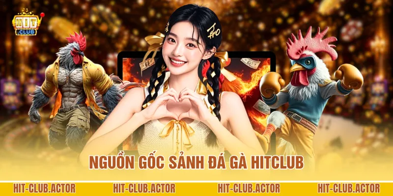 Nguồn gốc sảnh đá gà HITCLUB