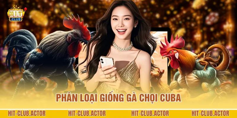 Phân loại giống gà chọi Cuba