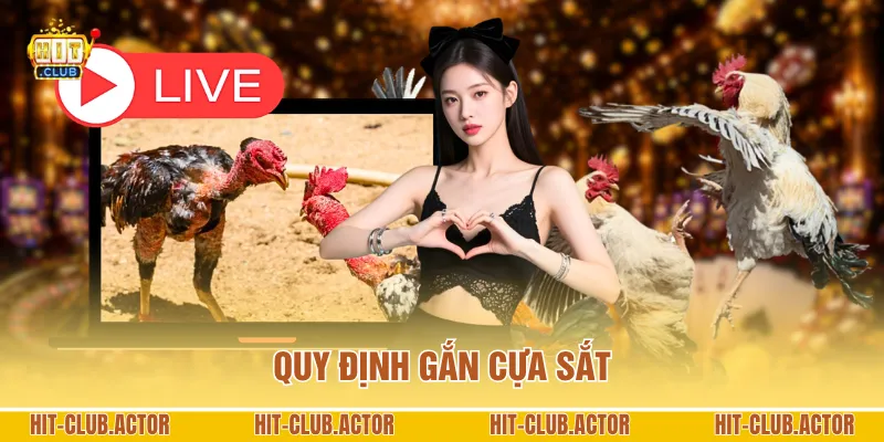 Quy định gắn cựa sắt