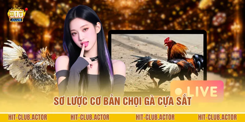 Sơ lược cơ bản chọi gà cựa sắt