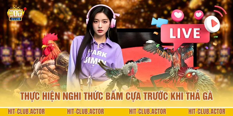 Thực hiện nghi thức bấm cựa trước khi thả gà