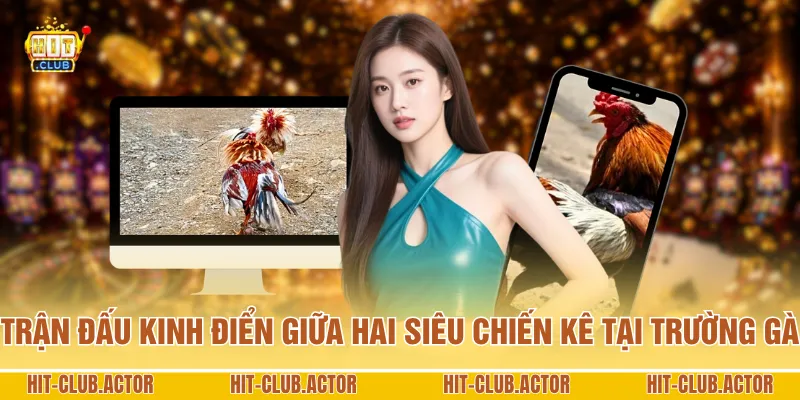 Trận đấu kinh điển giữa hai siêu chiến kê tại trường gà