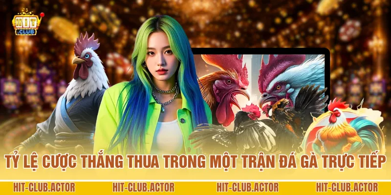 Tỷ lệ cược thắng thua trong một trận đá gà trực tiếp